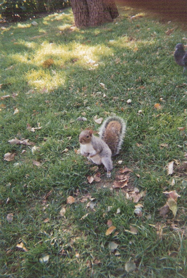 new-york-006
