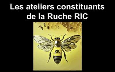 Présentation de la Ruche RIC